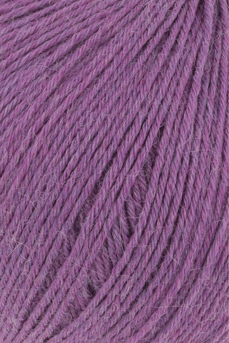 Lang Alpaca SOXX 6 Fils