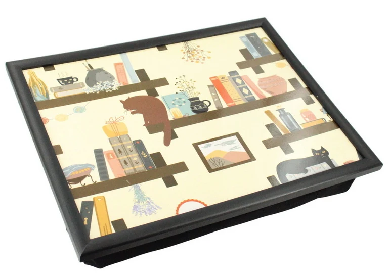 Coussin de lecture chat livres