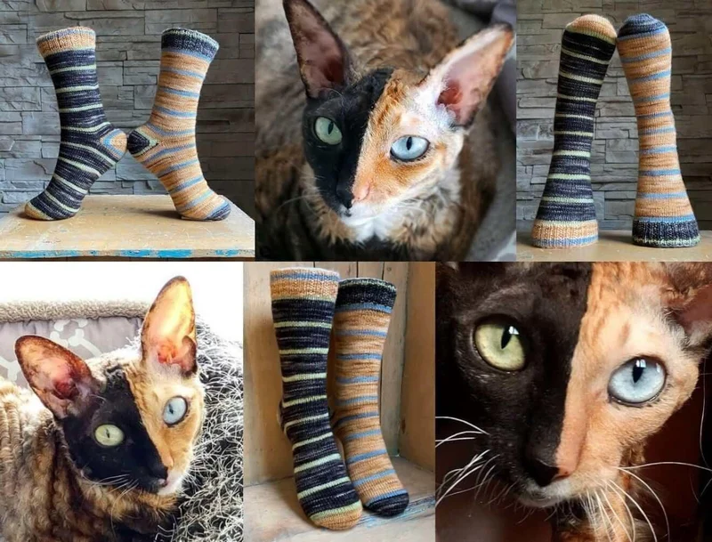 Knitting Kit for socks STELLA