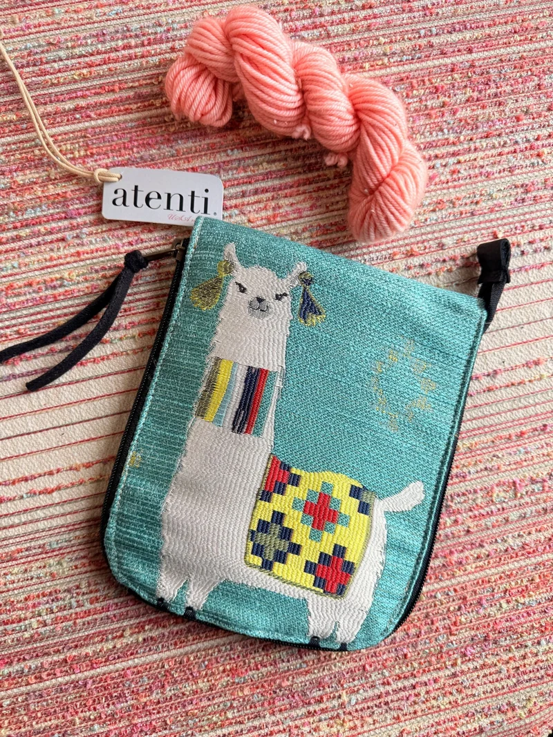 Mamallama Circular Needle Case