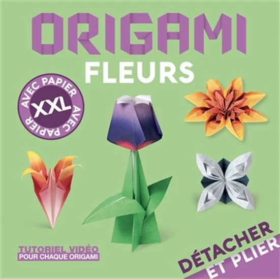 Origami fleurs : avec papier XXL
