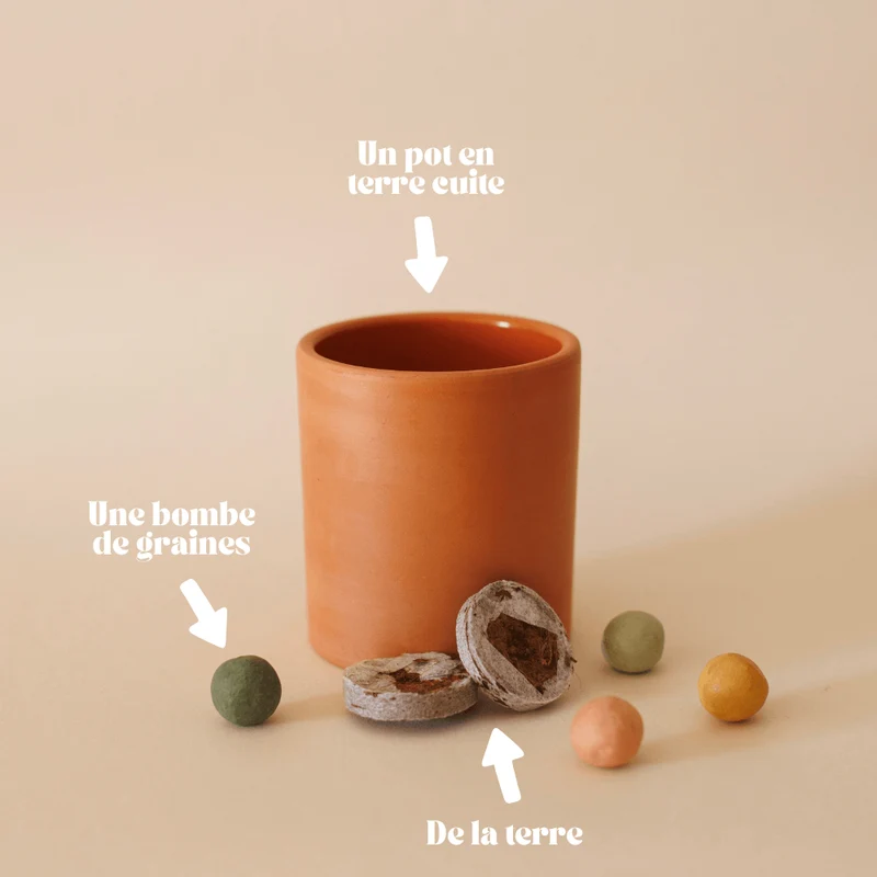 Kit à planter