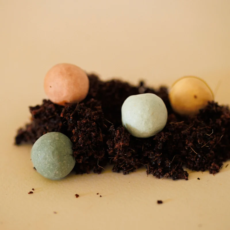 Kit à planter