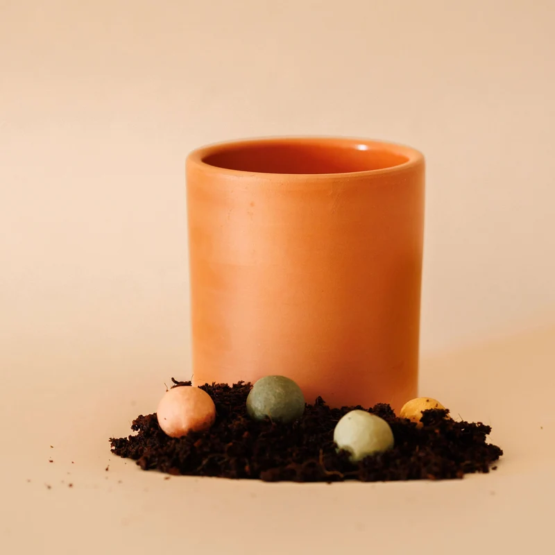 Kit à planter