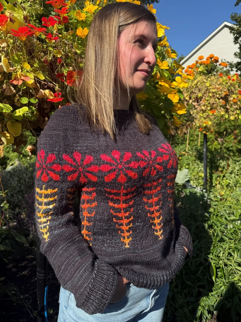 Tithonia Sweater | Knitting pattern and Optional kits