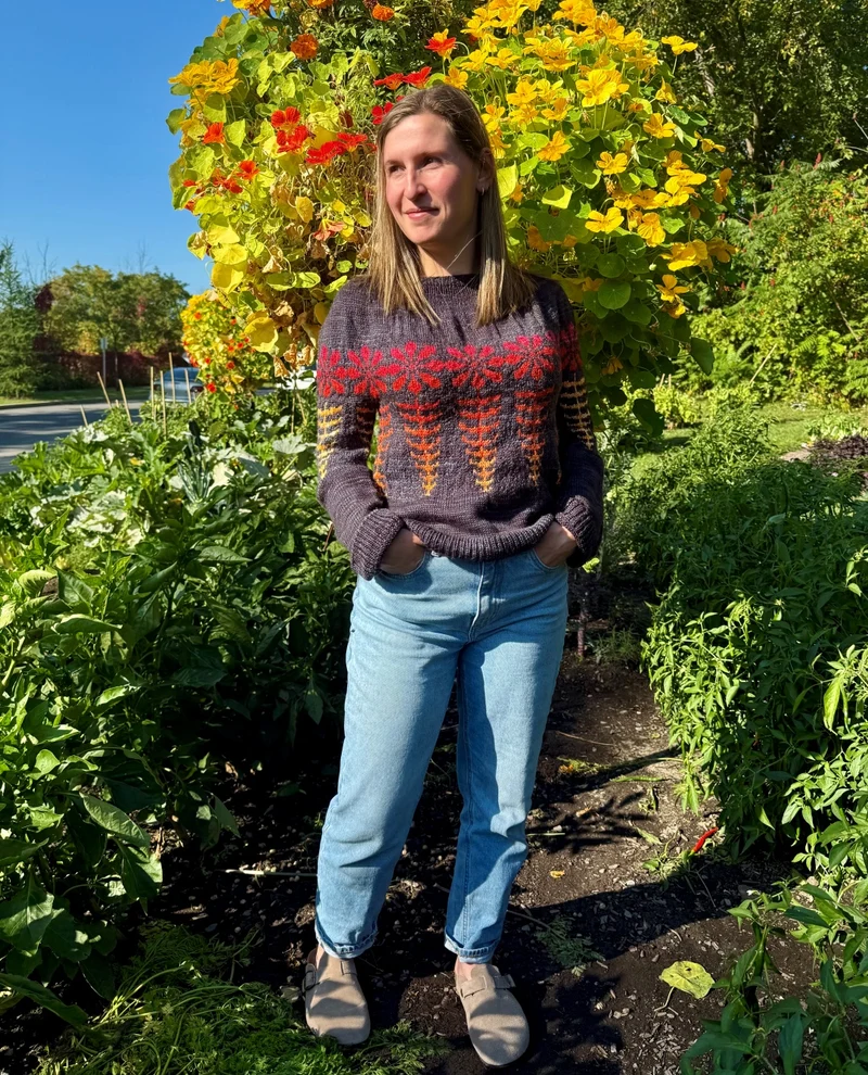 Tithonia Sweater | Knitting pattern and Optional kits
