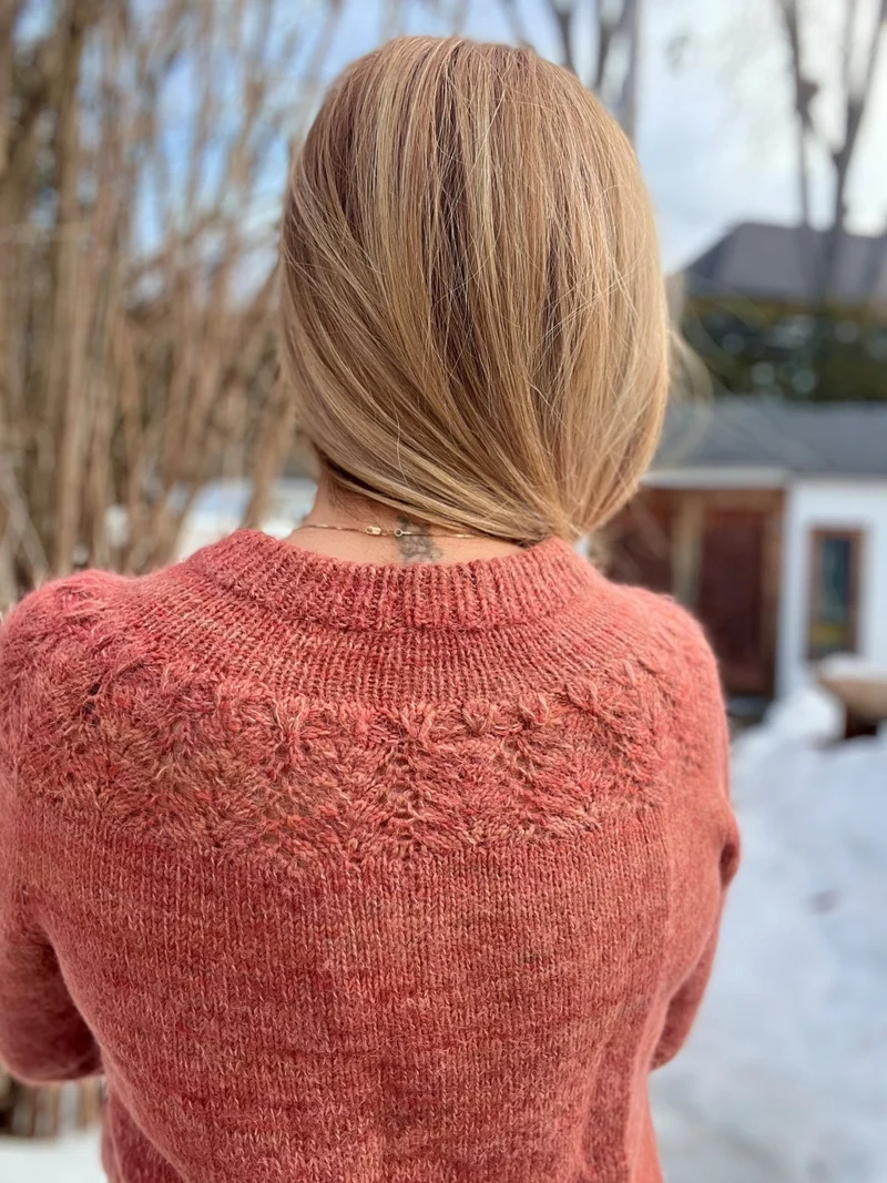 Douce Églantine Pullover | Knitting Kits