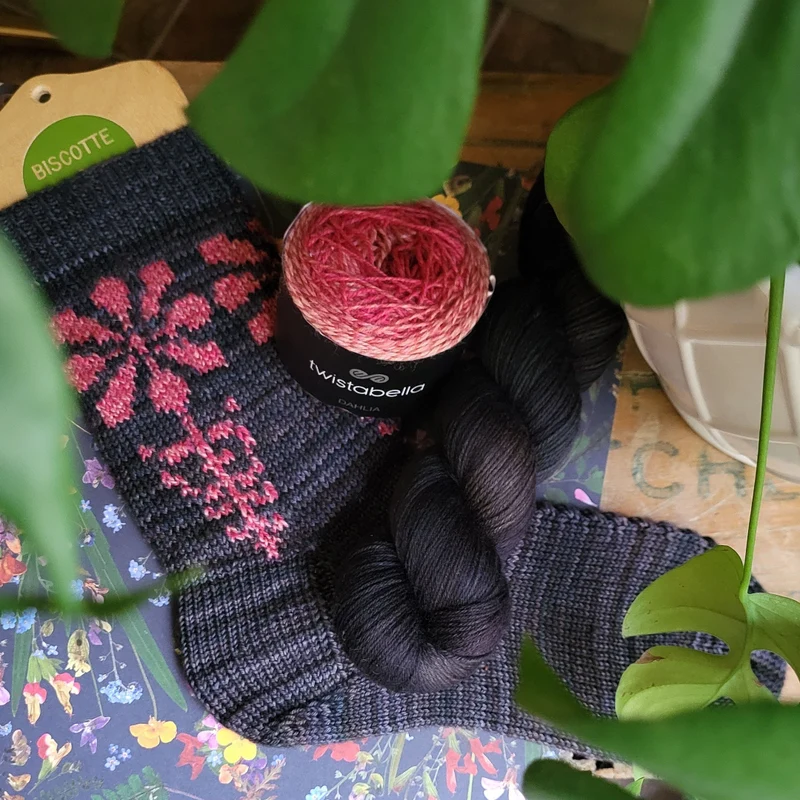Tithonia Socks | Knitting pattern and Optional kits