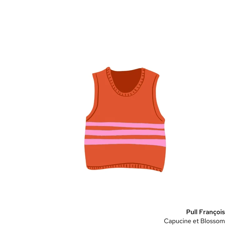 Pull François à tricoter.