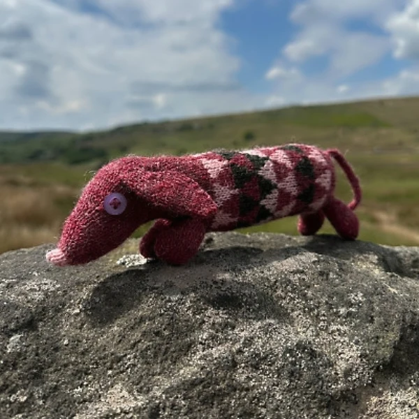 PIP by BAA RAM EWE