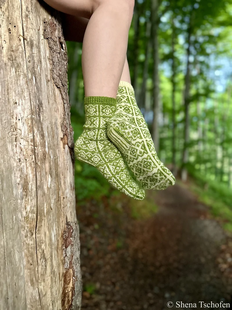 Beech Bud Socks | Yarn Kits