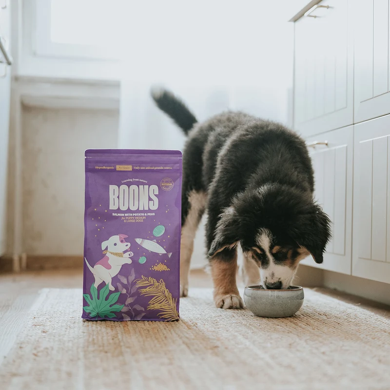 Hundefutter Boons Lachs (für Welpen mittlerer und großer Rassen)