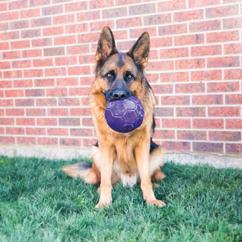 Hundespielzeug KONG® Flexball
