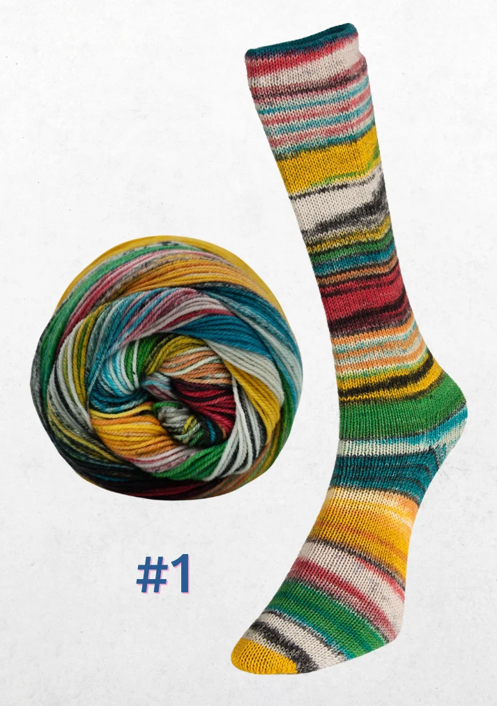 eclectic sock - Laine du Nord 🐦