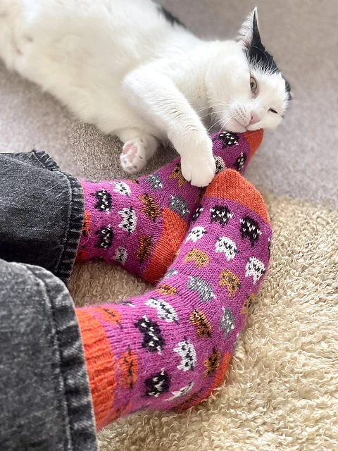 Joyful Colorwork Socks by Charlotte Stone