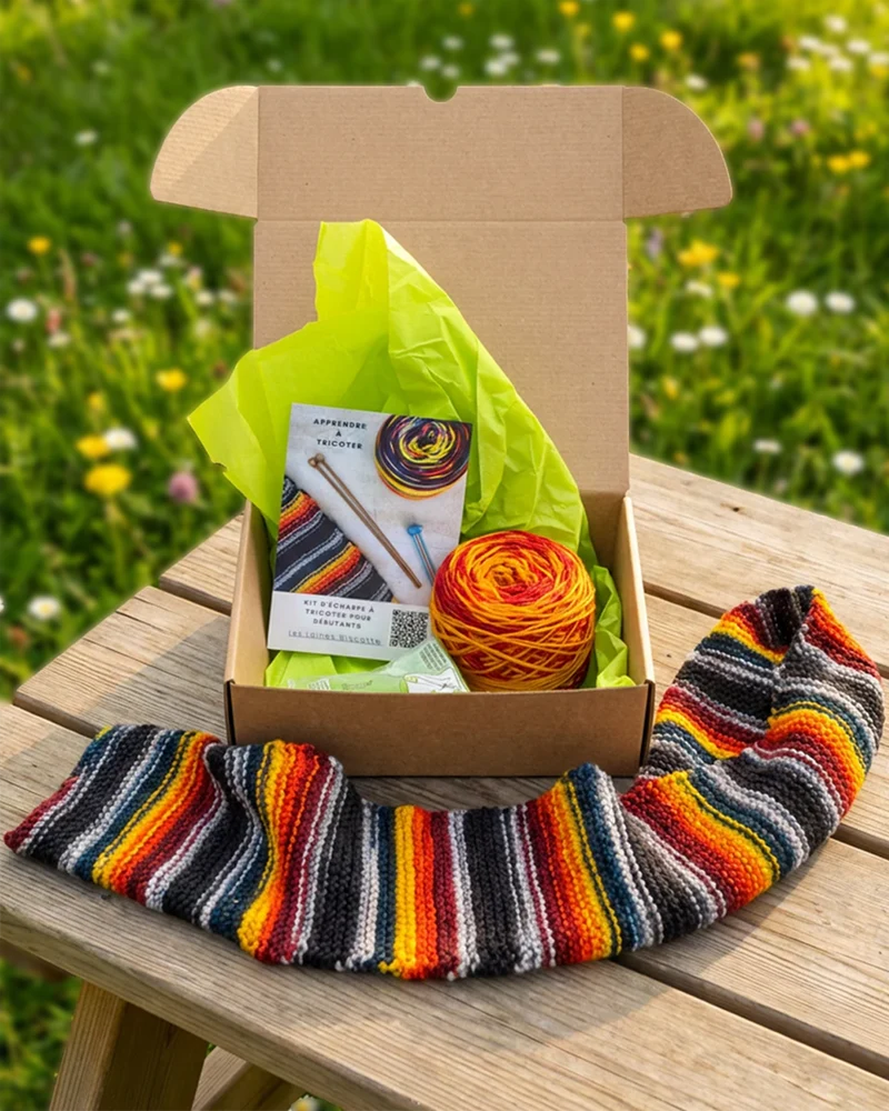 BEGINNER'S SCARF KNITTING KIT