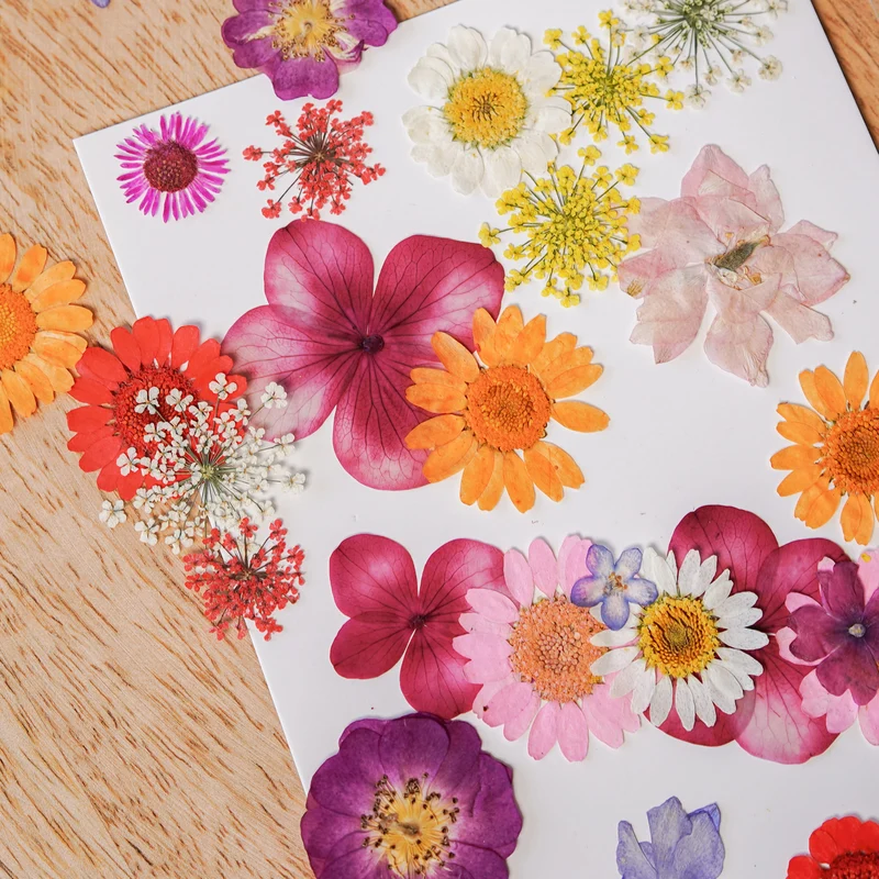 Pochette Fleurs pressées multicolores