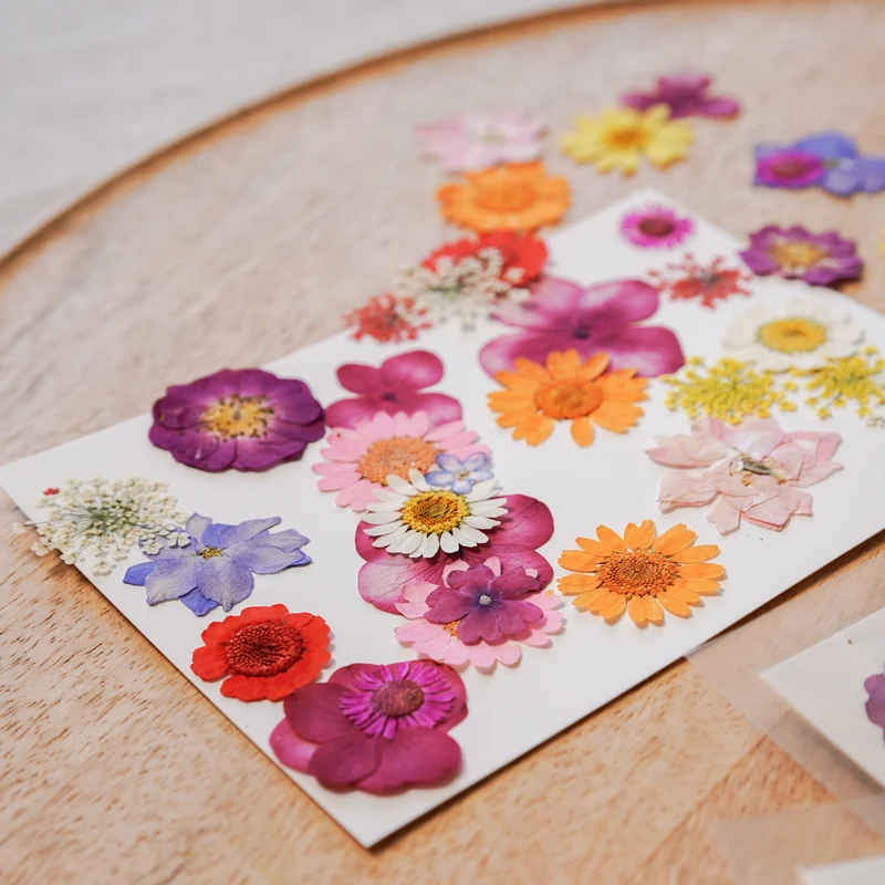 Pochette Fleurs pressées multicolores