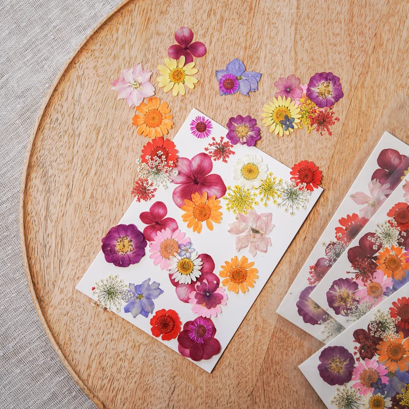 Pochette Fleurs pressées multicolores