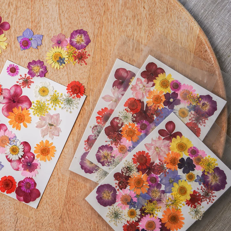 Pochette Fleurs pressées multicolores