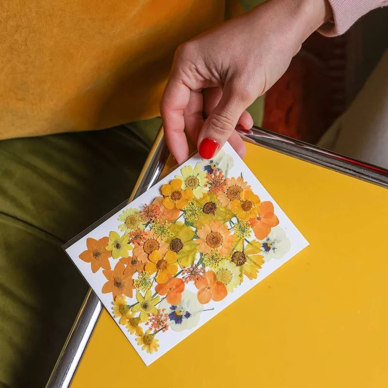 Pochette Fleurs pressées jaunes