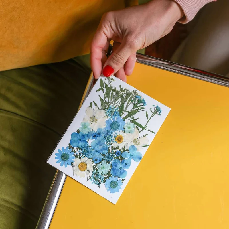 Pochette Fleurs pressées bleues