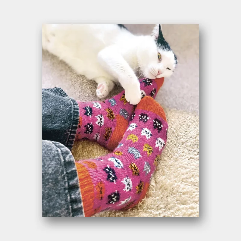 Chaussettes Créatives à Tricoter - Charlotte Stone