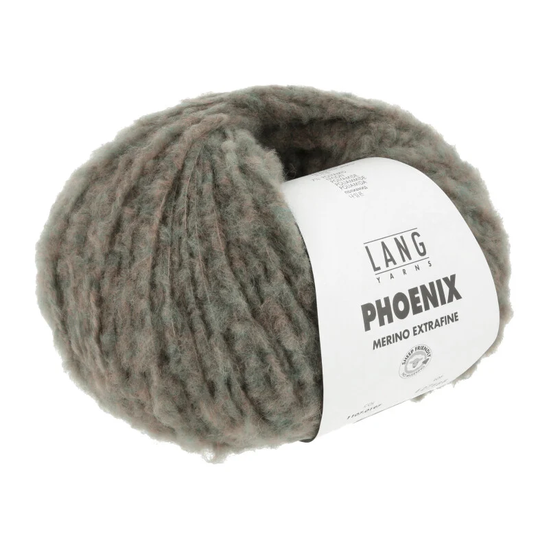 fils de lang phoenix