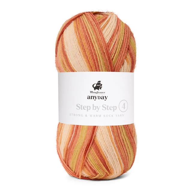 Mayflower Anyday étape par étape 4