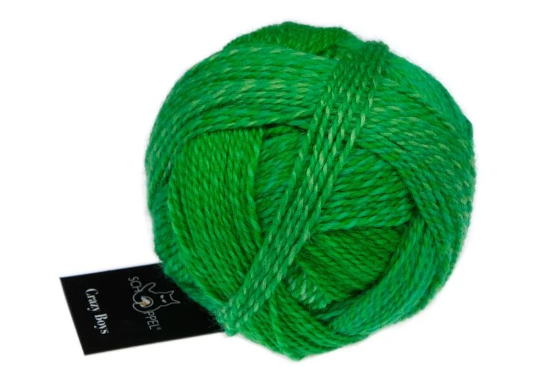 schoppel garçons fous