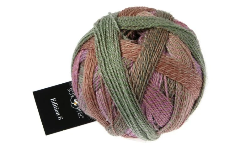 schoppel édition 6.0
