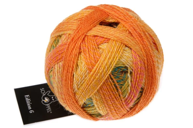 schoppel édition 6.0