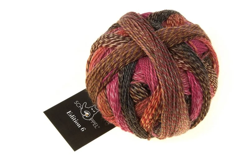 schoppel édition 6.0