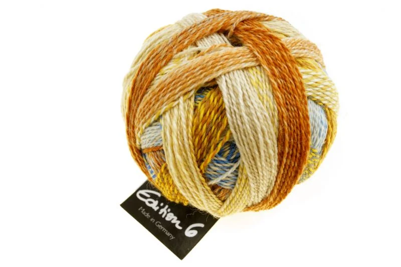 schoppel édition 6.0