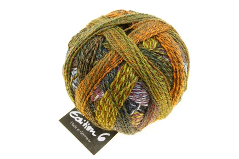 schoppel édition 6.0