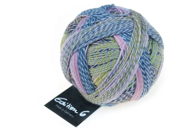 schoppel édition 6.0