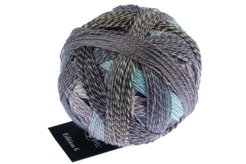 schoppel édition 6.0