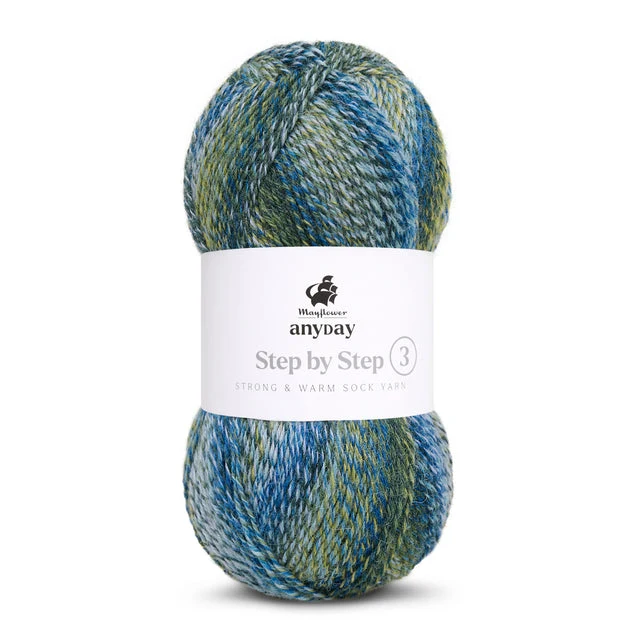 Mayflower Anyday étape par étape 3