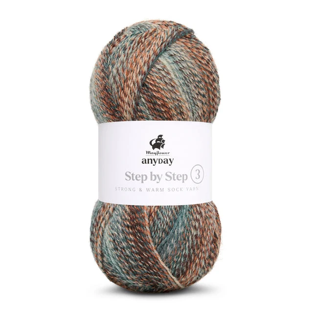 Mayflower Anyday étape par étape 3