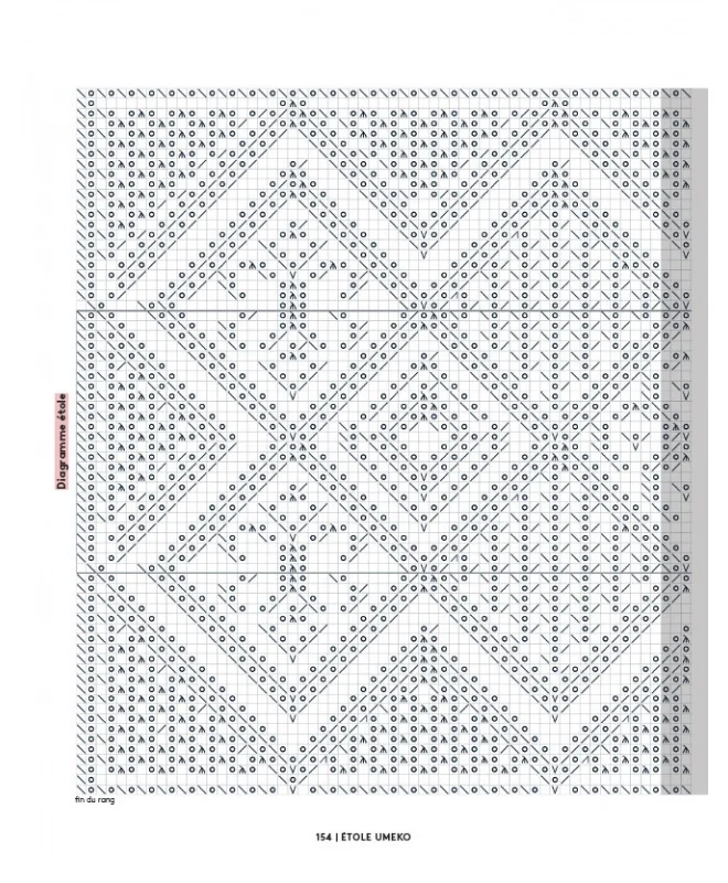 25 projets en tricot ajouré - Niveau expert (French Only)