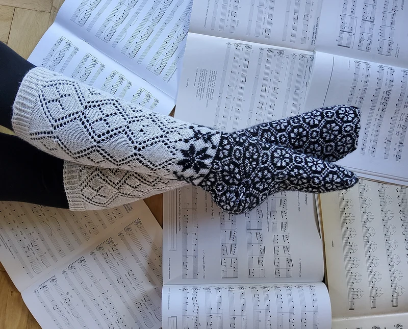 50 Chaussettes à tricoter comme en Lettonie (French Only)