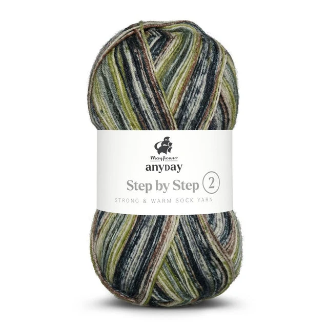 Mayflower Anyday étape par étape 2
