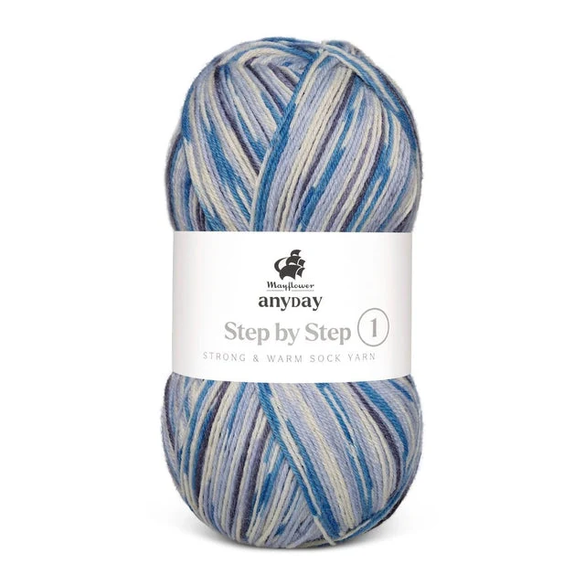 Mayflower Anyday étape par étape 1