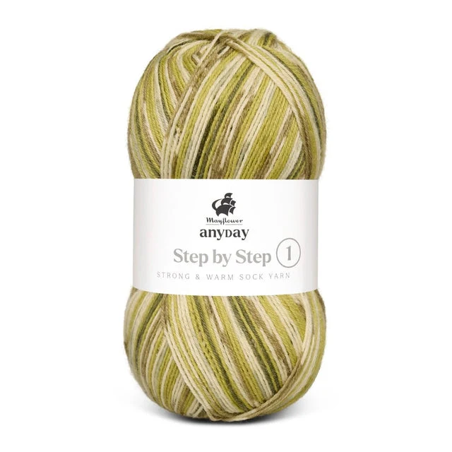 Mayflower Anyday étape par étape 1