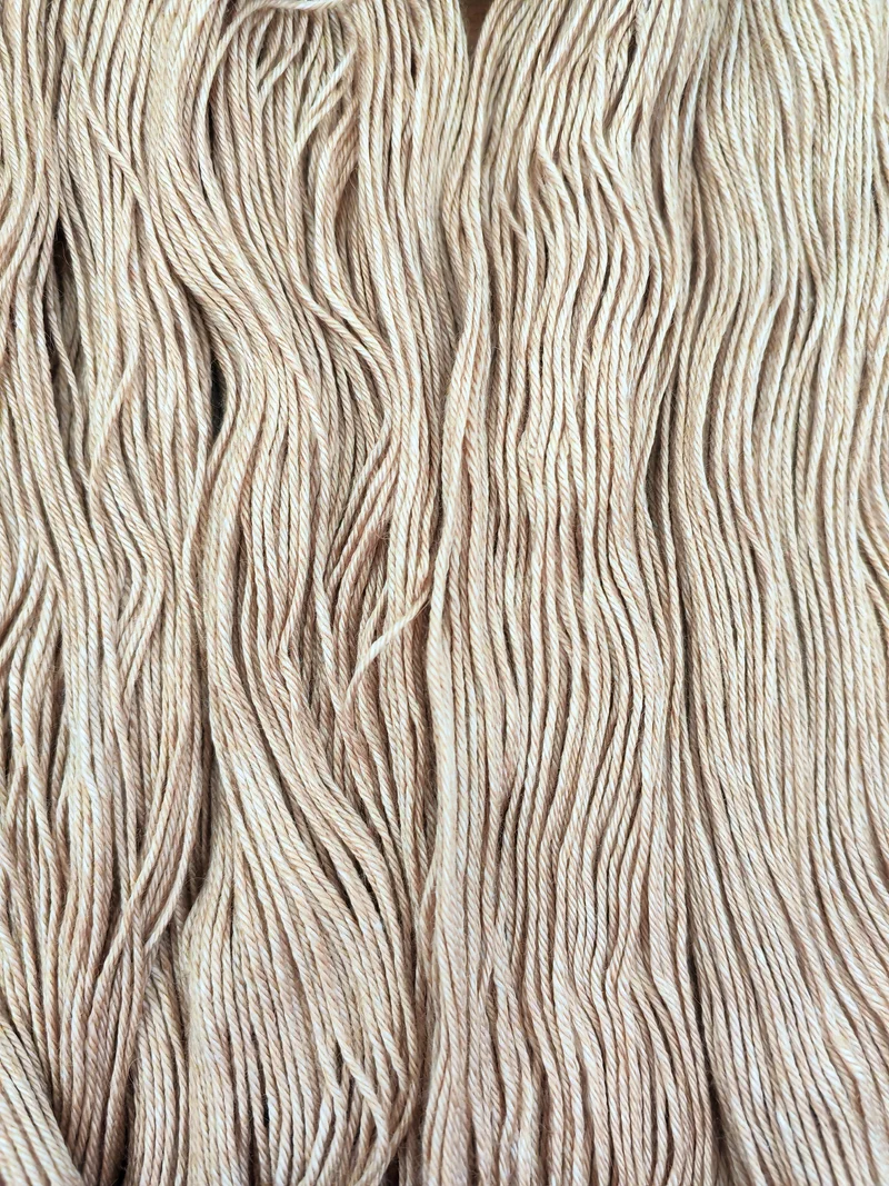 Base Papyrus • Bébé chameau & Soie