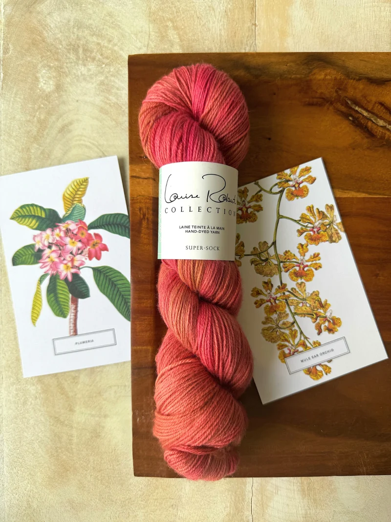 Everyone Socks - Knitting pattern and knitting kits