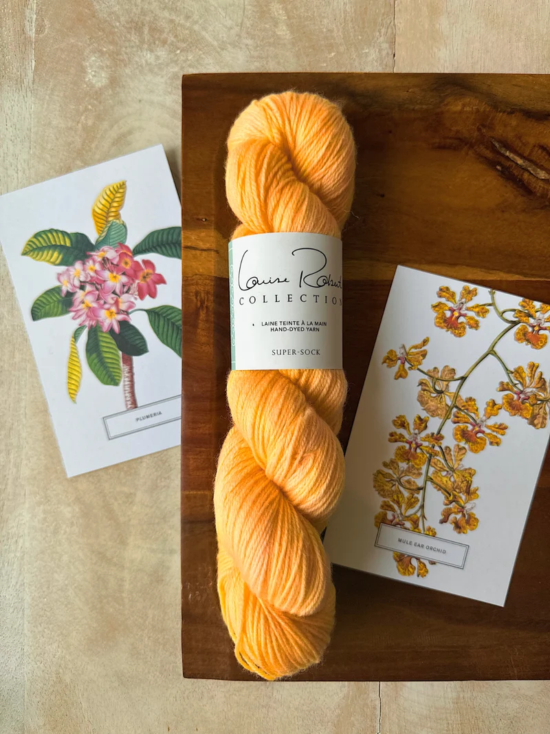 Everyone Socks - Knitting pattern and knitting kits