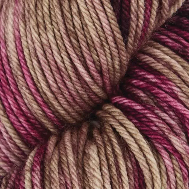 symfonie belle couleur