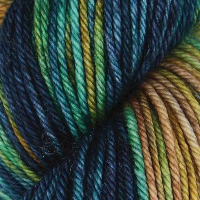 symfonie belle couleur
