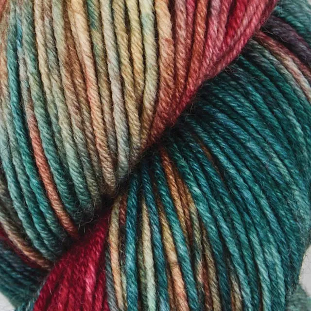 symfonie vive la couleur